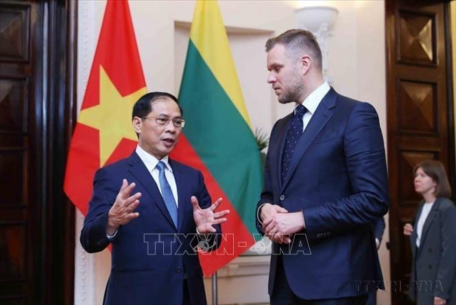 Bộ trưởng Ngoại giao Bùi Thanh Sơn đón Bộ trưởng Ngoại giao Litva Gabrielius Landsbergis thăm chính thức Việt Nam từ ngày 25 - 26/10/2023. Ảnh: An Đăng - TTXVN
