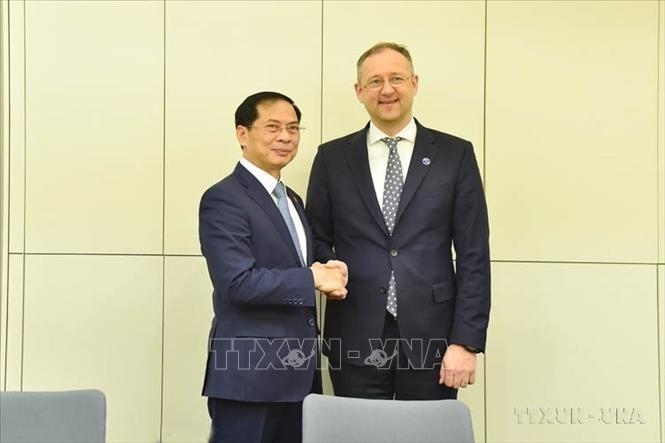 Nhân dịp dự Hội nghị Hội đồng Bộ trưởng của Tổ chức Hợp tác và phát triển kinh tế (OECD) năm 2024 tại Paris (Pháp), ngày 02/5/2024, Bộ trưởng Ngoại giao Bùi Thanh Sơn tiếp Thứ trưởng Ngoại giao Litva Simonas Satunas. Ảnh: TTXVN phát