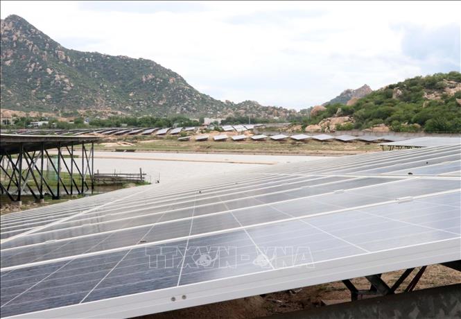 Dự án Nhà máy điện mặt trời Bầu Ngứ (ở xã Phước Dinh, huyện Thuận Nam) xây dựng trong lòng hồ Bầu Ngứ vào năm 2018. Ảnh: Công Thử - TTXVN