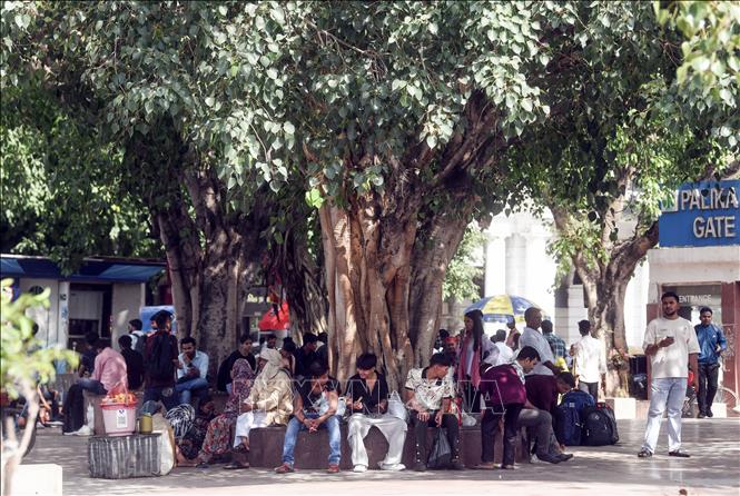 Người dân tránh nóng dưới bóng cây tại New Delhi, Ấn Độ. Ảnh: ANI/TTXVN