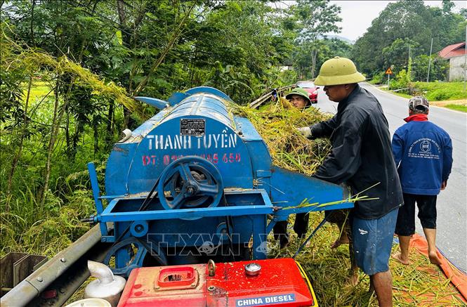 Người dân Hà Giang tuốt lúa bằng máy sau khi gặt. Ảnh: Đức Thọ - TTXVN