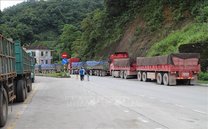 Doanh nghiệp vận tải trong nước không thể cạnh tranh với dòng xe 