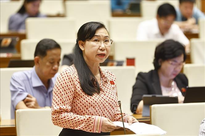 Đại biểu Quốc hội tỉnh Long An Phan Thi Mỹ Dung phát biểu. Ảnh: Doãn Tấn - TTXVN