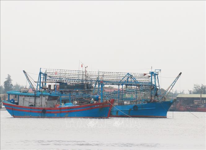 Tàu cá vào neo đậu tại vùng nước cửa biển Cửa Việt, huyện Gio Linh, tỉnh Quảng Trị để tránh trú bão số 1. Ảnh: Nguyên Lý-TTXVN