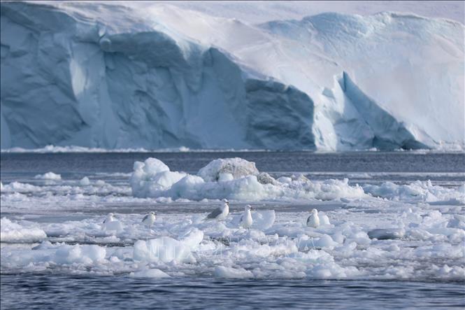 Băng trôi tại Ilulissat, Greenland. Ảnh: THX/TTXVN