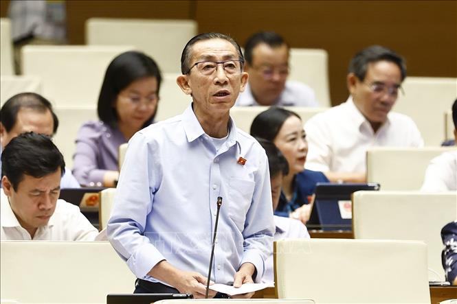 Đại biểu Quốc hội TP Hồ Chí Minh Trần Hoàng Ngân phát biểu. Ảnh: Doãn Tấn - TTXVN