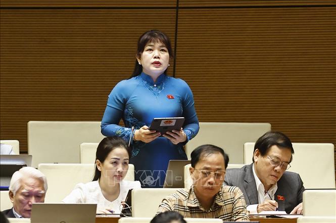 Đại biểu Quốc hội tỉnh Quảng Ninh Nguyễn Thị Thu Hà phát biểu. Ảnh: Doãn Tấn - TTXVN