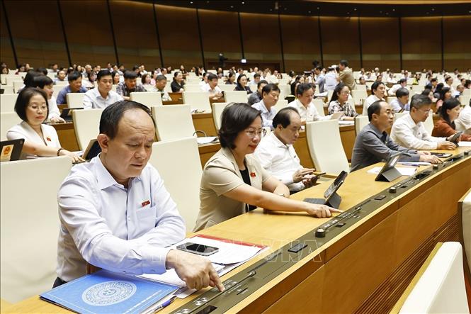 Đoàn đại biểu Quốc hội TP. Hà Nội biểu quyết thông qua Nghị quyết của Quốc hội về việc sắp xếp đơn vị hành chính cấp tỉnh năm 2025. Ảnh: Doãn Tấn - TTXVN