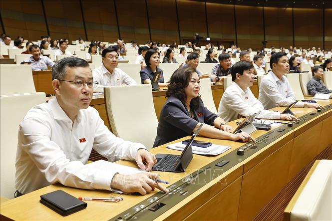 Đoàn đại biểu Quốc hội tỉnh Hoà Bình biểu quyết thông qua Nghị quyết của Quốc hội về việc sắp xếp đơn vị hành chính cấp tỉnh năm 2025. Ảnh: Doãn Tấn - TTXVN