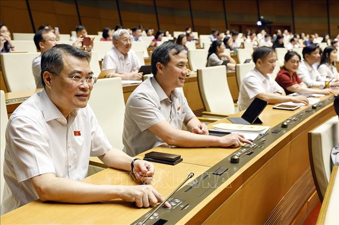 Đoàn đại biểu Quốc hội tỉnh Hà Tĩnh biểu quyết thông qua Nghị quyết của Quốc hội về việc sắp xếp đơn vị hành chính cấp tỉnh năm 2025. Ảnh: Doãn Tấn - TTXVN