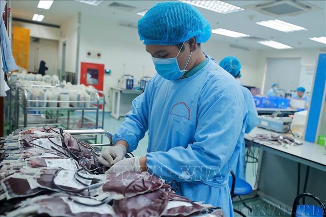 Những chế phẩm máu được Viện Huyết học-Truyền máu Trung ương tách chiết thành phẩm máu an toàn phục vụ cho bệnh nhân. Ảnh: Minh Quyết – TTXVN