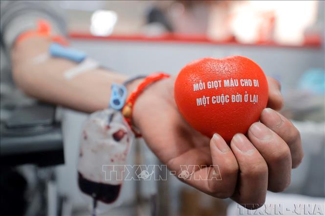Hiến máu cứu người là một nghĩa cử cao đẹp, thể hiện tinh thần tương thân thương ái của dân tộc Việt Nam. Ảnh: Minh Quyết – TTXVN