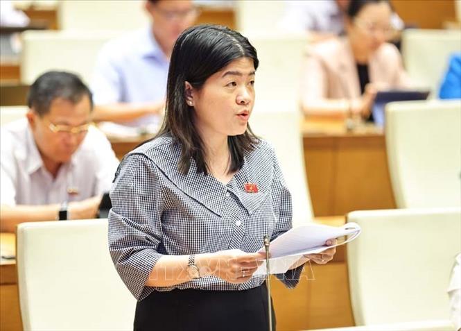 Đại biểu Quốc hội tỉnh Sóc Trăng Phạm Thị Minh Huệ phát biểu. Ảnh: Minh Đức - TTXVN
