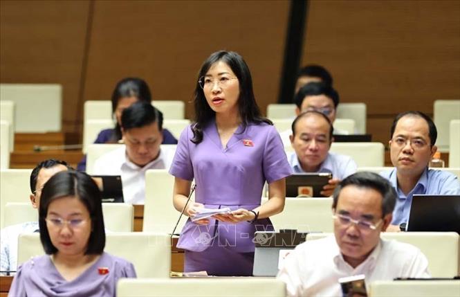 Đại biểu Quốc hội tỉnh Tây Nguyên Hoàng Thị Thanh Thúy phát biểu. Ảnh: Minh Đức – TTXVN