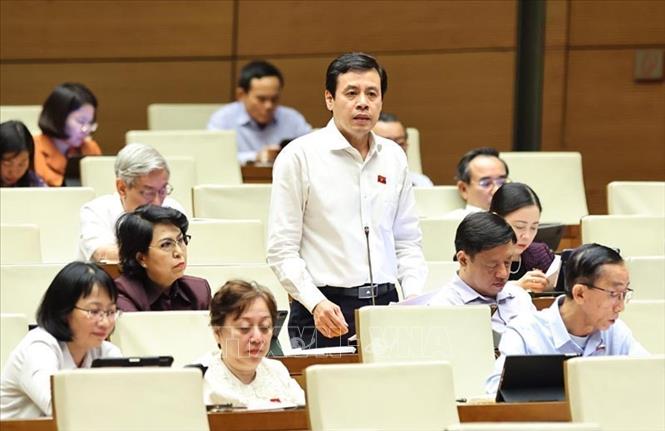 Đại biểu Quốc hội Thành phố Hồ Chí Minh Hoàng Anh Tuấn phát biểu. Ảnh: Minh Đức – TTXVN