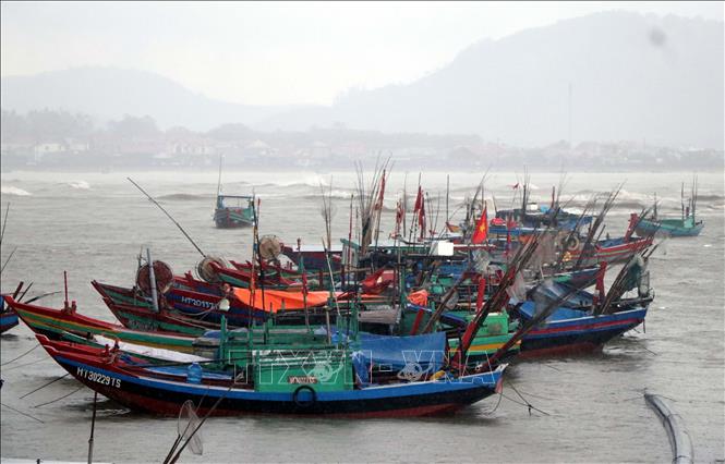 Tàu thuyền về tránh trú bão ở xã Cẩm Nhượng huyện Cẩm Xuyên. Ảnh: Công Tường-TTXVN