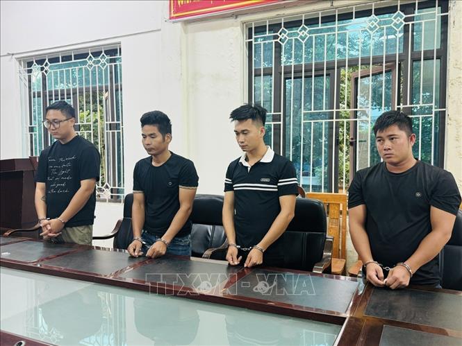 4 đối tượng bị Công an tỉnh Vĩnh Phúc khởi tố  về tội buôn lậu cây qua biên giới. Ảnh: TTXVN phát
