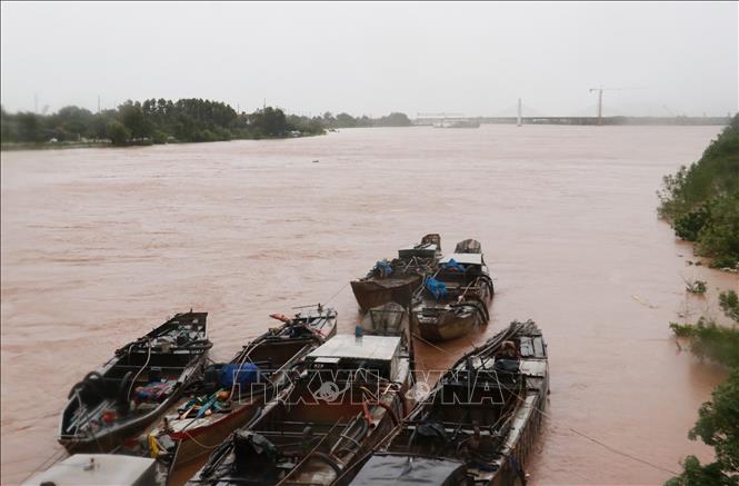Lũ hạ lưu sông Thạch Hãn (Quảng Trị) đang tiếp tục lên do mưa lớn ảnh hưởng từ bão số 1 (ảnh chụp sáng 13/6). Ảnh: Nguyên Lý-TTXVN