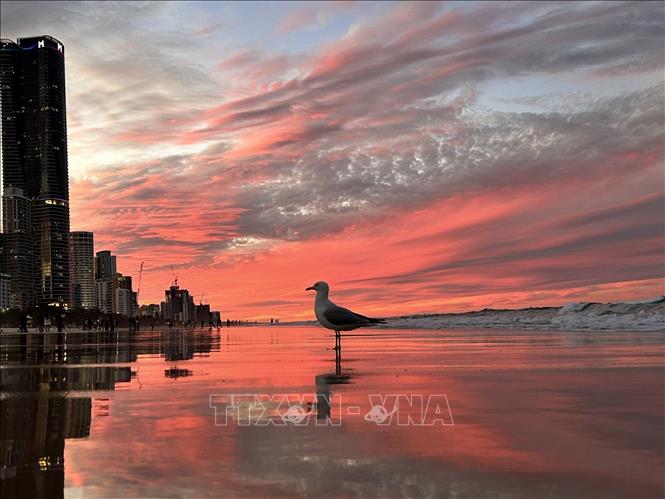 Hoàng hôn đỏ rực tại thị trấn Surfers Paradise trong mùa Đông Australia. Ảnh: Thanh Tú - PV TTXVN tại Australia