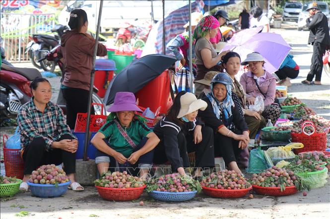 Plums are sold in the center of Bac Ha town, Bac Ha district. VNA Photo: Hồng Ninh
