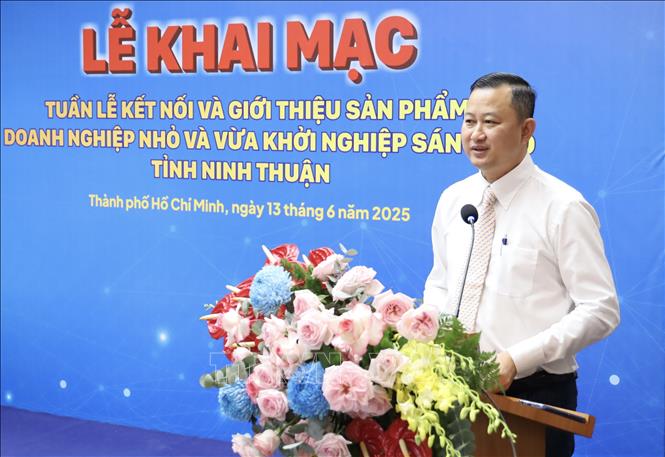 Ông Trần Phú Lữ, Giám đốc Trung tâm Xúc tiến Thương mại và Đầu tư TP. Hồ Chí Minh phát biểu tại lễ khai mạc. Ảnh: Xuân Anh - TTXVN