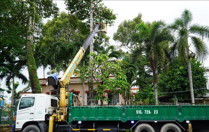 Cần cẩu hỗ trợ nhân viên cắt tỉa nhánh cây có tán rộng, thân cao hàng chục mét. Ảnh: Văn Sĩ - TTXVN   
                             