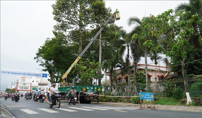 Nhân viên cây xanh cắt tỉa nhánh cây xanh có tán rộng trên đường Lê Lợi, thành phố Rạch Giá. Ảnh: Văn Sĩ - TTXVN                                 