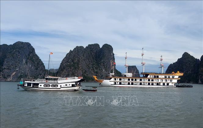 Một số tàu du lịch ở thành phố Hạ Long đang di chuyển về nơi tránh trú bão an toàn. Ảnh: Văn Đức - TTXVN