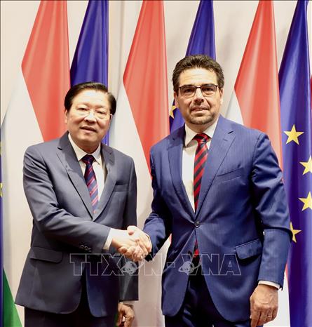 Trưởng Ban Nội chính Trung ương Phan Đình Trạc và Quốc Vụ khanh Bộ các vấn đề châu Âu của Hungary Barna Pal Zsigmond. Ảnh: Phương Hoa - PV TTXVN tại châu Âu