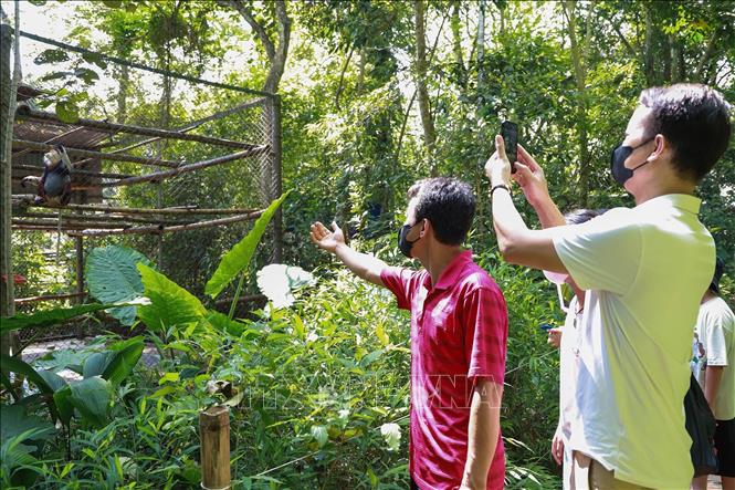 Trung tâm mở cửa cho khách tham quan có hướng dẫn viên, nhằm nâng cao nhận thức cho du khách và cộng đồng về giá trị của các loài linh trưởng và công tác bảo tồn thiên nhiên. Ảnh: Vân Chi/TTXVN phát