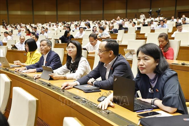 Đoàn đại biểu Quốc hội tỉnh Hải Dương ấn nút biểu quyết thông qua các luật. Ảnh: Doãn Tấn - TTXVN