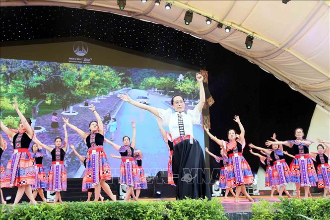 Màn đồng diễn giao thức Yoga phổ biến với hơn 200 thành viên đến từ các câu lạc bộ Yoga trên địa bàn thành phố Sơn La và thị xã Mộc Châu. Ảnh: Quang Quyết - TTXVN
