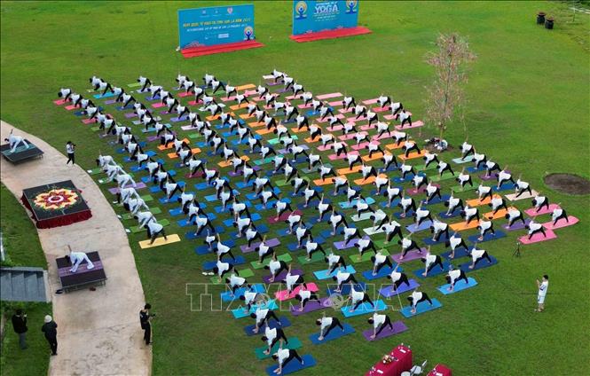 Màn đồng diễn giao thức Yoga phổ biến với hơn 200 thành viên đến từ các câu lạc bộ Yoga trên địa bàn thành phố Sơn La và thị xã Mộc Châu. Ảnh: Quang Quyết - TTXVN