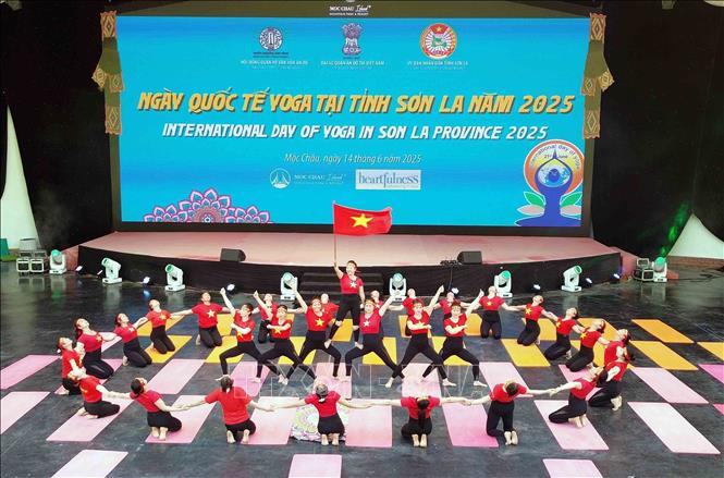 Màn đồng diễn giao thức Yoga phổ biến với hơn 200 thành viên đến từ các câu lạc bộ Yoga trên địa bàn thành phố Sơn La và thị xã Mộc Châu. Ảnh: Quang Quyết - TTXVN