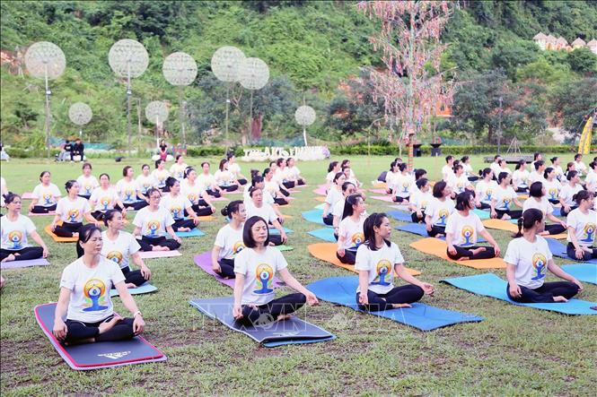 Màn đồng diễn giao thức Yoga phổ biến với hơn 200 thành viên đến từ các câu lạc bộ Yoga trên địa bàn thành phố Sơn La và thị xã Mộc Châu. Ảnh: Quang Quyết - TTXVN