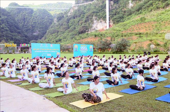 Màn đồng diễn giao thức Yoga phổ biến với hơn 200 thành viên đến từ các câu lạc bộ Yoga trên địa bàn thành phố Sơn La và thị xã Mộc Châu. Ảnh: Quang Quyết - TTXVN