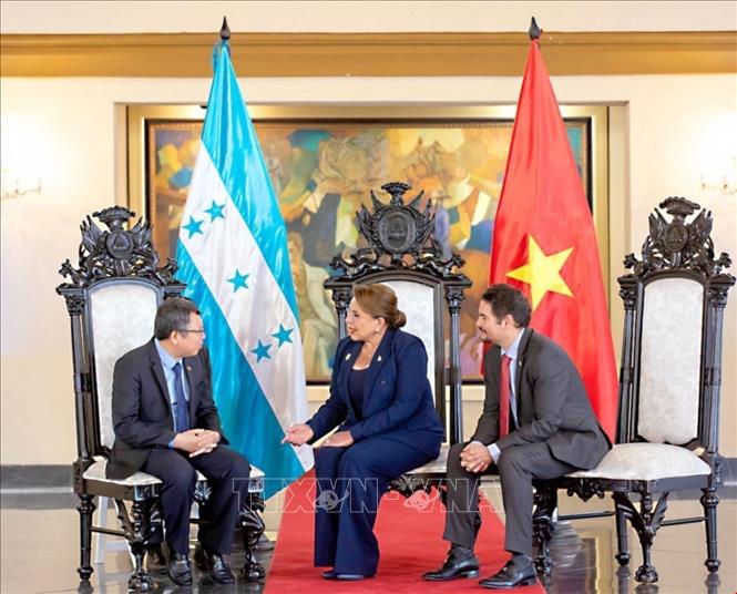 Tổng thống Honduras Xiomara Castro tiếp Đại sứ Nguyễn Văn Hải. Ảnh: TTXVN phát