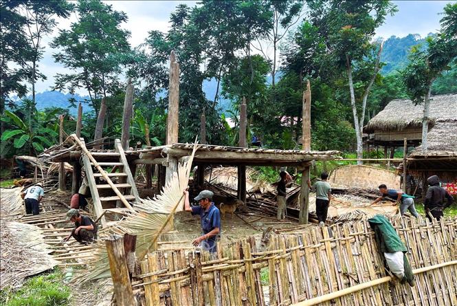 Bản Khe Búng và Cò Phạt (xã Môn Sơn, huyện Con Cuông, Nghệ An) có hơn 240 hộ, đều là dân tộc Đan Lai, sinh sống giữa vùng lõi Vườn Quốc gia Pù Mát. Cả 2 bản có 73 hộ được hỗ trợ làm mới và sửa chữa. Ảnh: TTXVN phát 