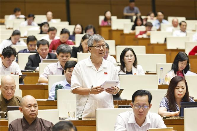 Đại biểu Quốc hội TP Hà Nội Nguyễn Anh Trí phát biểu. Ảnh: Doãn Tấn - TTXVN 