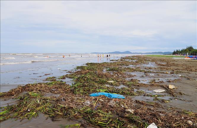 Bờ biển khu du lịch trọng điểm Diễn Thành (thị trấn Diễn Thành, huyện Diễn Châu, Nghệ An) biến thành bãi rác khổng lồ từ nhiều ngày qua. Ảnh: Xuân Tiến-TTXVN