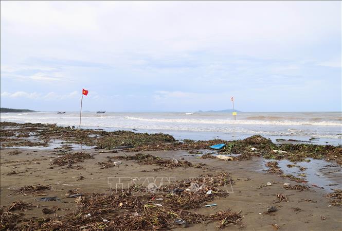Vô số rác thải và bèo tây dạt lên bãi biển ở  cửa biển Lạch Vạn và khu du lịch Diễn Thành (huyện Diễn Châu, Nghệ An). Ảnh: Xuân Tiến - TTXVN 