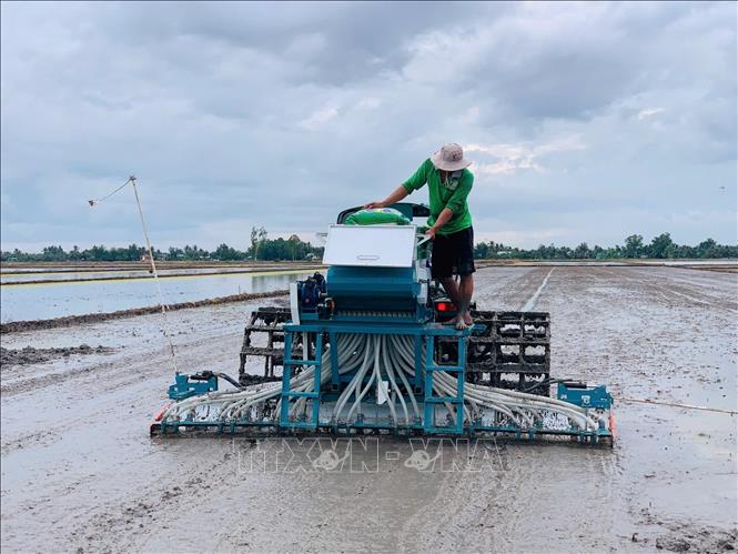 Triển khai gieo sạ lúa bằng máy của Hợp tác xã Dịch vụ nông nghiệp Hồng Phát (ấp Tường Thắng B, xã Vĩnh Thanh, huyện Phước Long, tỉnh Bạc Liêu). Ảnh: TTXVN phát