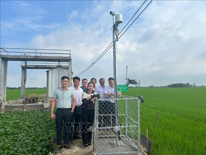 Trạm giám sát côn trùng thông minh giúp tính toán thời điểm dịch hại xuất hiện trên lúa. Ảnh: TTXVN phát
