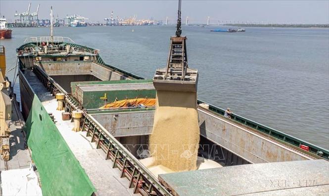 Phân bón DAP của nhà máy DAP Đình Vũ (Hải Phòng) xuất khẩu đi nhiều nước trên thế giới trong đó có New Zealand. Ảnh: Quốc Khánh – TTXVN