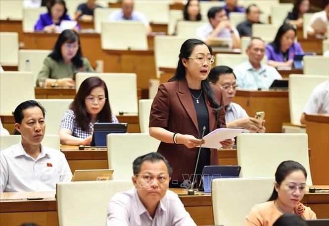 Đại biểu Quốc hội tỉnh Vĩnh Long Nguyễn Thị Quyên Thanh phát biểu. Ảnh: Minh Đức – TTXVN