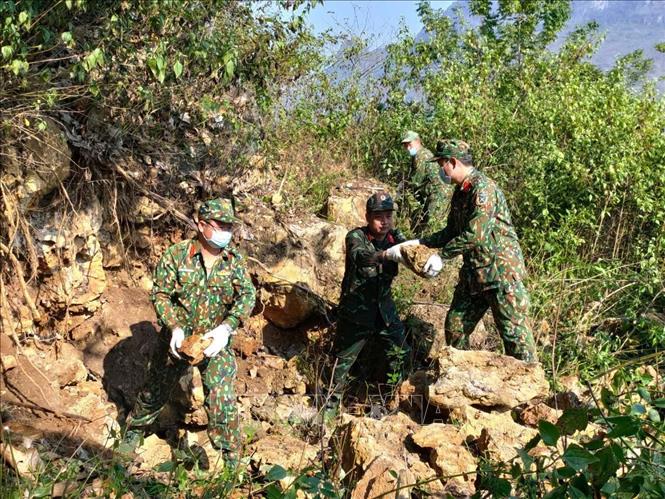 Đội tìm kiếm, quy tập hài tỉnh Hà Giang đã không quản ngại hiểm trở núi rừng, thời tiết khắc nghiệt, kiên trì bám trụ nhiều ngày tại Điểm cao 211 phát hiện và cất bốc được 4 bộ hài cốt liệt sĩ. Ảnh: TTXVN phát