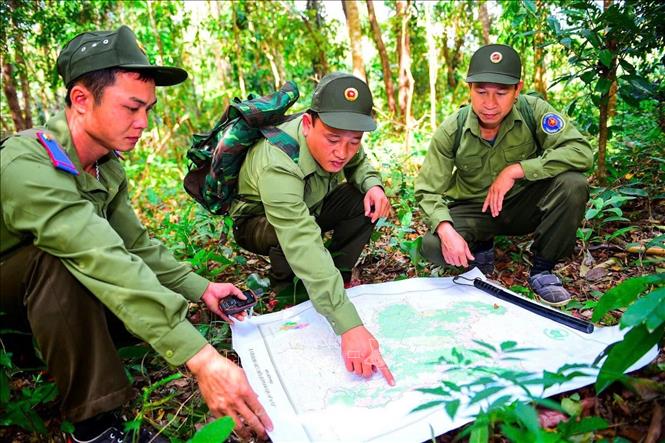 Chính sách chi trả dịch vụ môi trường rừng tại tỉnh Kon Tum đã tạo ra mối liên kết giữa trách nhiệm và quyền lợi khi giữ rừng tốt người dân sẽ được hưởng lợi nhiều hơn. Ảnh: Khoa Chương - TTXVN