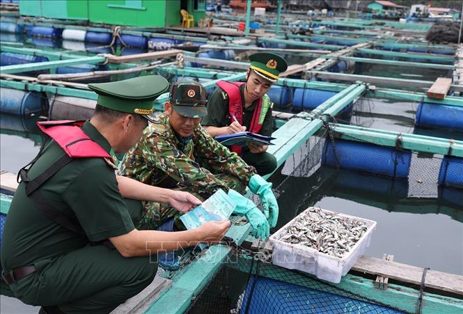 Bộ đội Biên phòng Hải Phòng triển khai công tác tuyên truyền bảo vệ an ninh Tổ quốc ở hộ gia đình ông Đinh Như Đang, nuôi thuỷ sản trên biển khu vực biên giới thuộc thị trấn Cát Bà, thành phố Hải Phòng. Ảnh: Vũ Sinh - TTXVN
