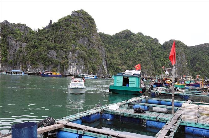 Bộ đội Biên phòng Hải Phòng triển khai công tác tuần tra ở khu vực biên giới biển thuộc thị trấn Cát Bà, thành phố Hải Phòng. Ảnh: Vũ Sinh - TTXVN