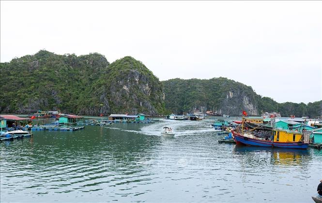 Bộ đội Biên phòng Hải Phòng triển khai công tác tuần tra ở khu vực biên giới biển thuộc thị trấn Cát Bà, thành phố Hải Phòng. Ảnh: Vũ Sinh - TTXVN